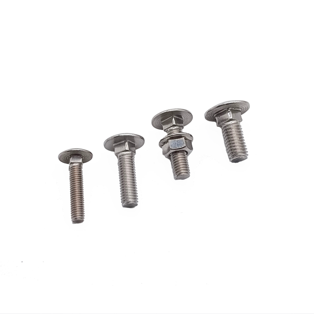 Stainless Steel Bolt with Square Neck DIN603 M10 M12 Carriage Bolt