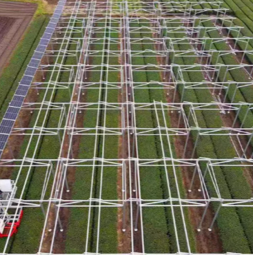 Buying Vs Leasing Solar Panels: Which One Works for You?