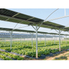 solar farm ground 