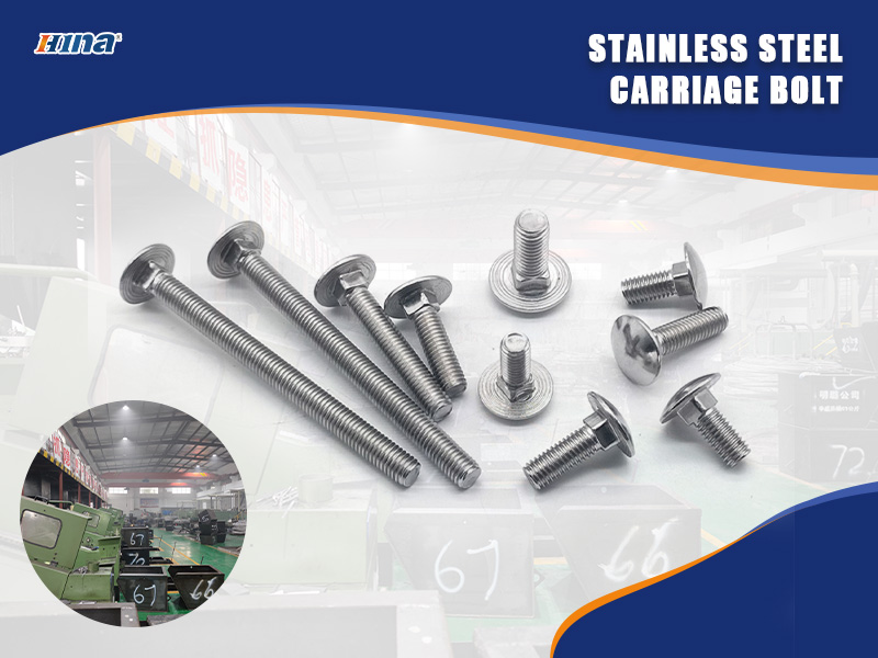 Stainless Steel Carriage Bolt for Solar Mounting Systems
