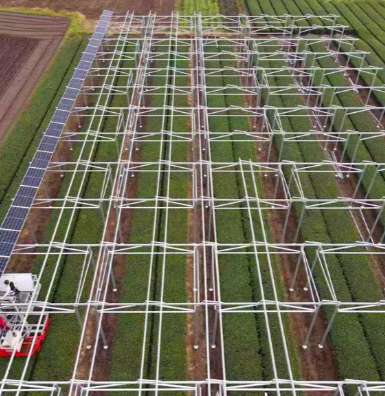 What Are Solar Farms Used for