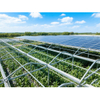 solar farm ground 